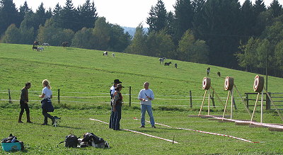 Micheal explains the knife throwing technique to spectators.
